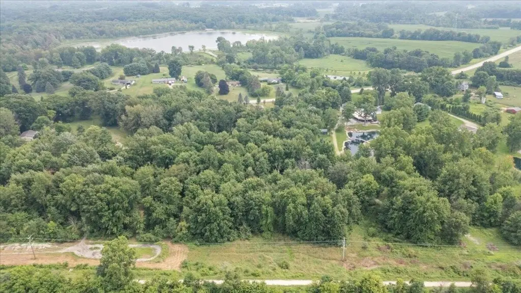 Picture 9