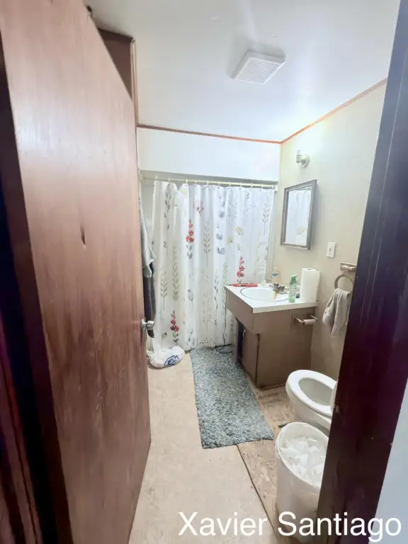 Picture 41