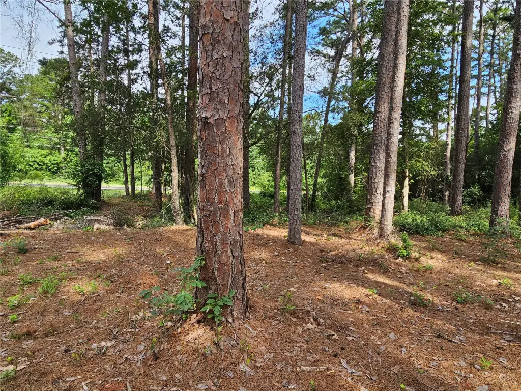 Picture 10