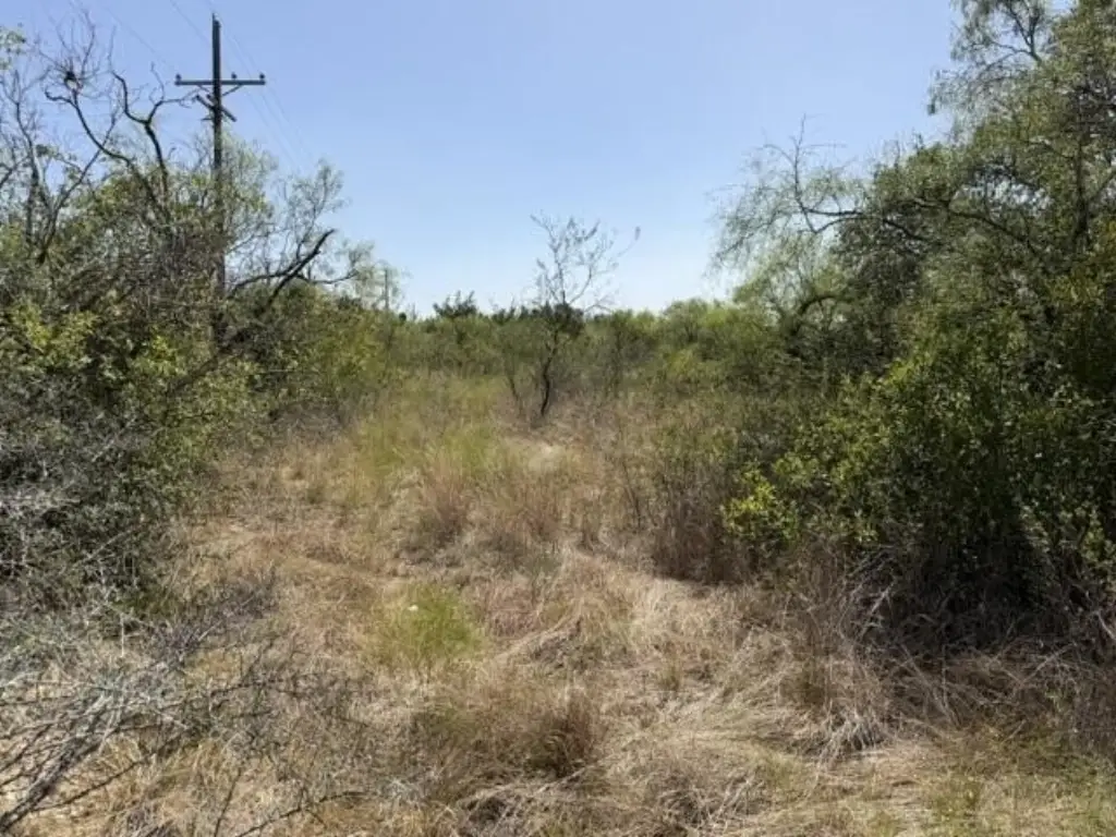 Picture 6