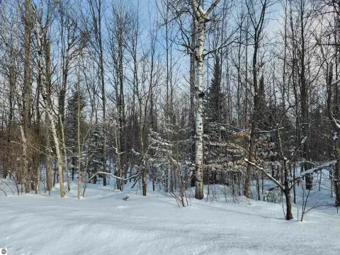 Kalkaska County Land Parcel