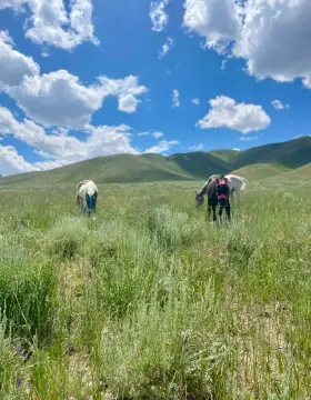 Grantsville Land with Mountain Views