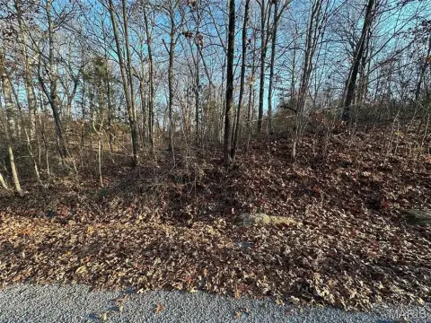 Land in Wagon Creek Subdivision