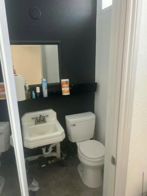 Picture 5