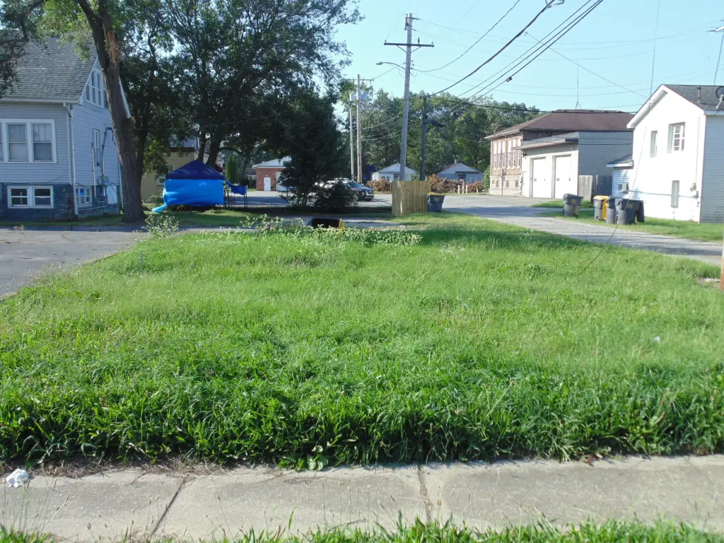 Picture 9