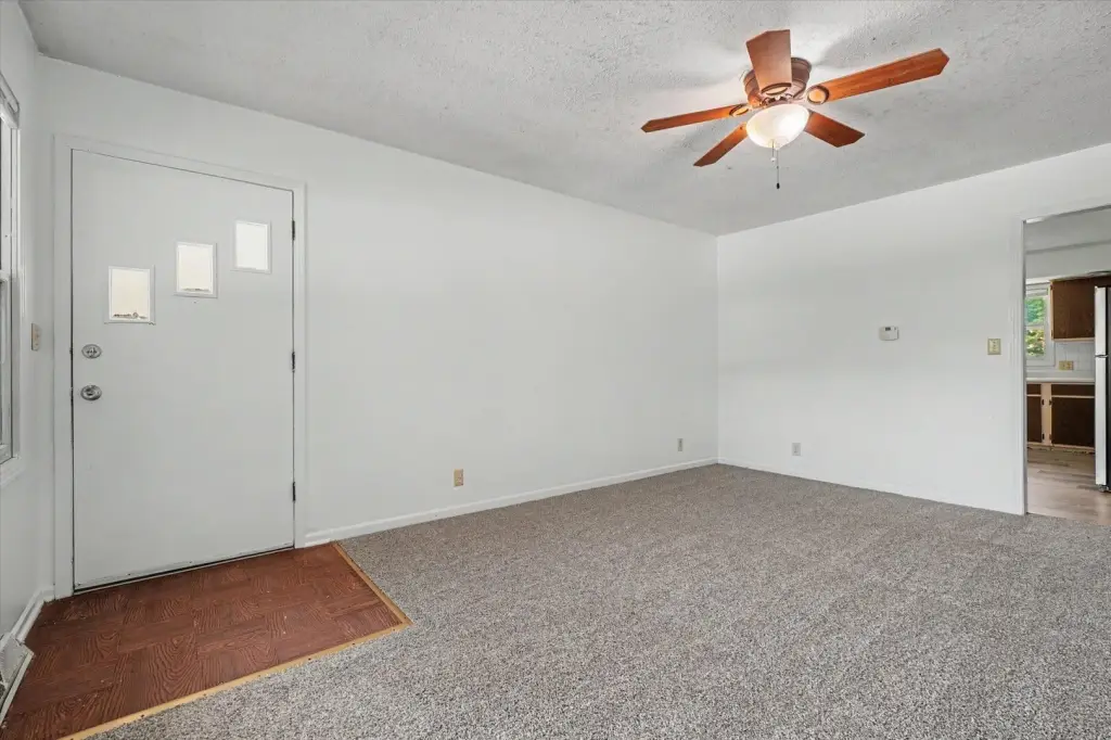 Picture 7
