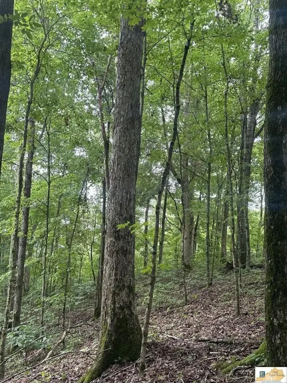 Picture 10