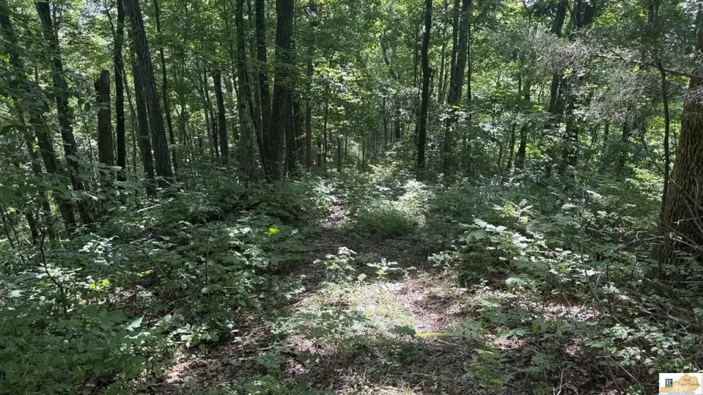 Picture 36