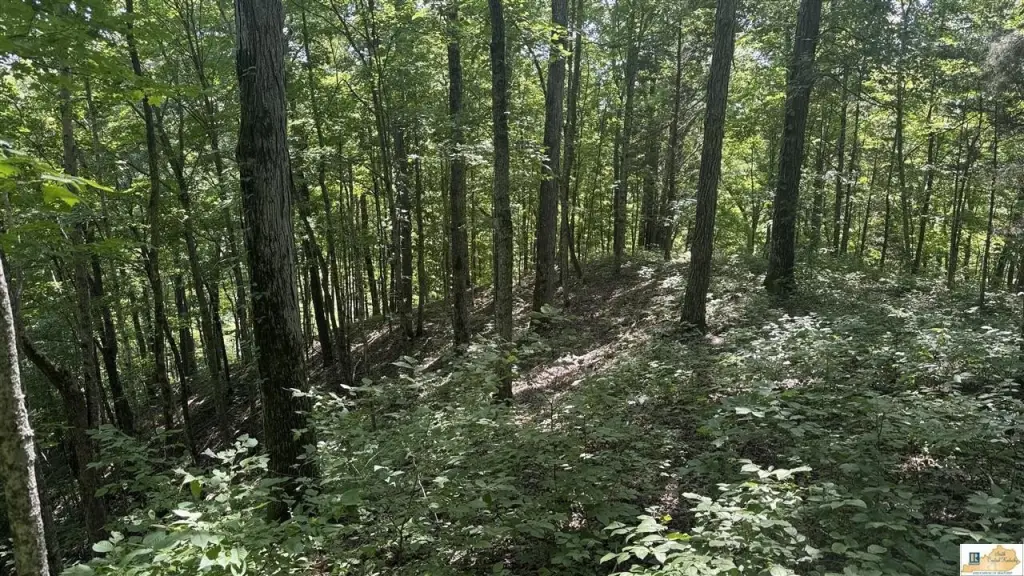 Picture 15