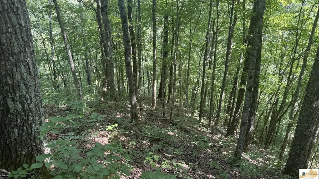 Picture 22