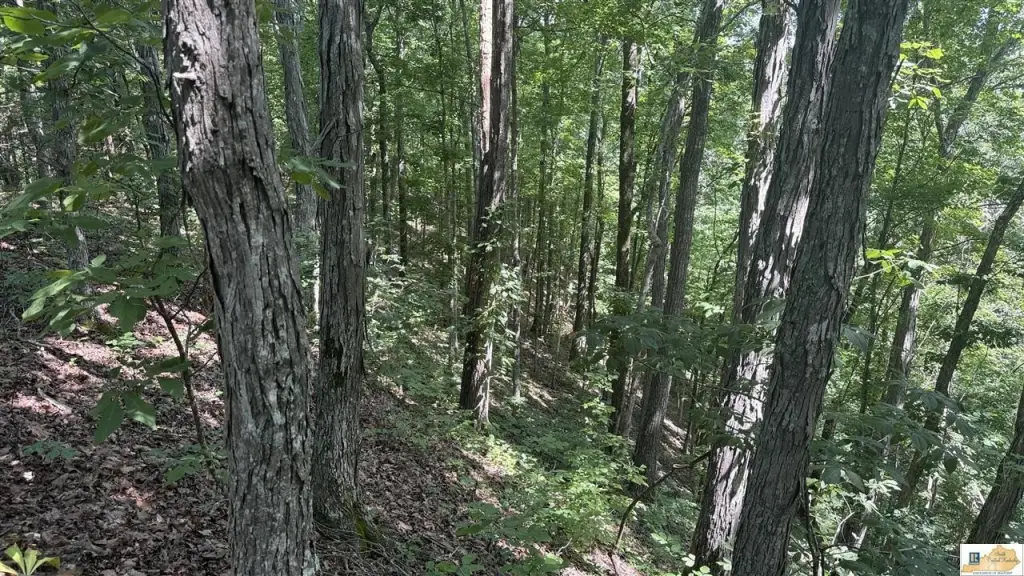 Picture 19