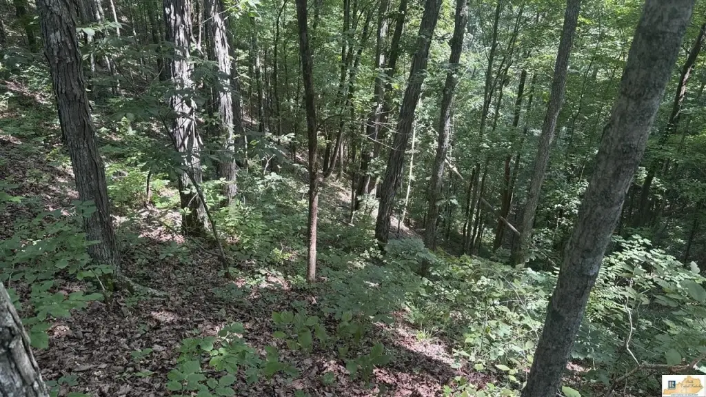 Picture 18