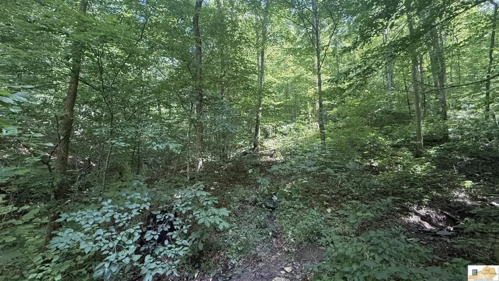 Picture 8