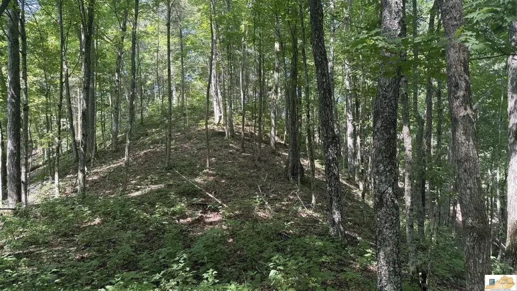 Picture 16