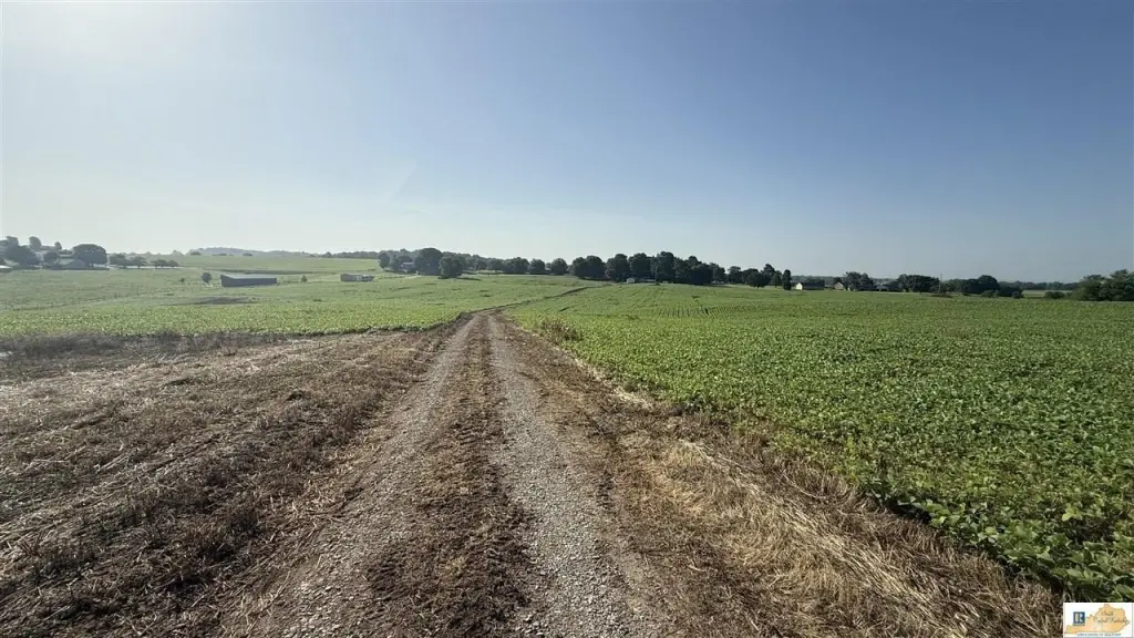 Picture 25