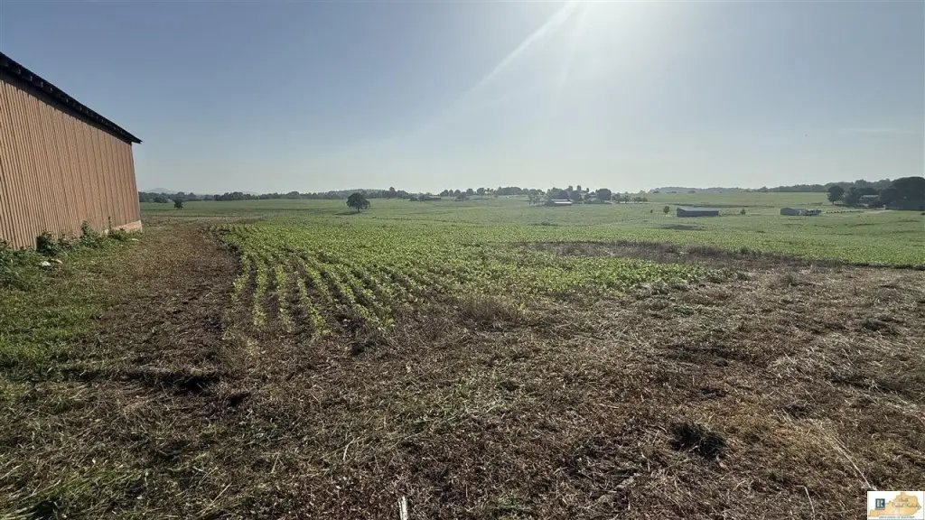 Picture 22