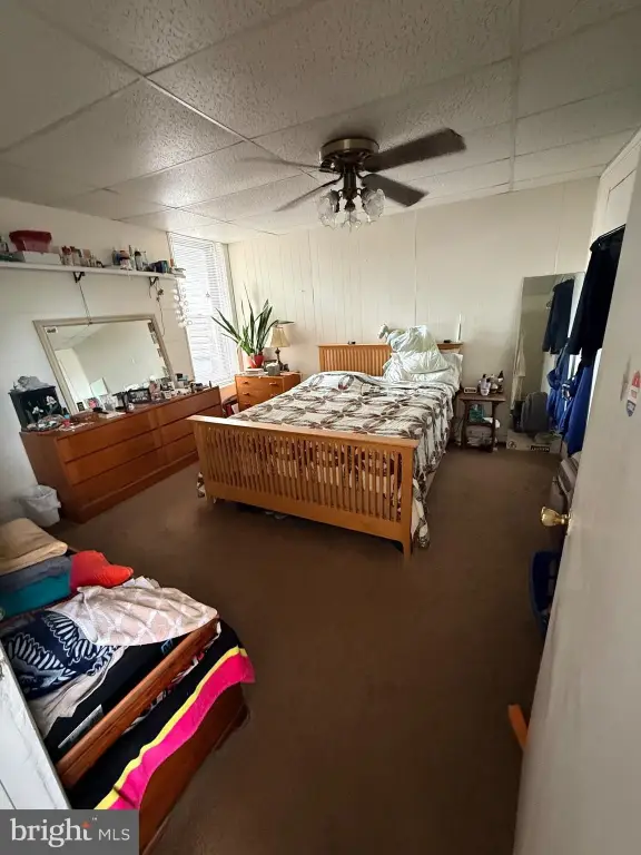 Picture 15
