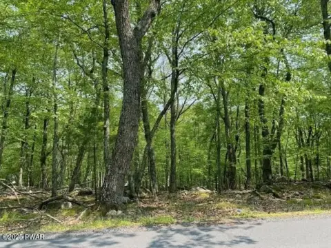 Residential Land in Milford, PA