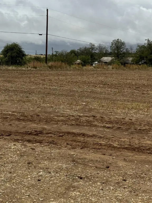 Picture 6