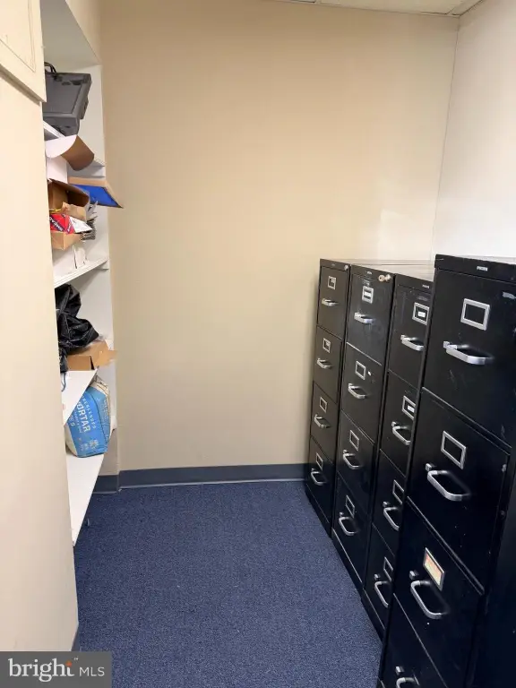Picture 29