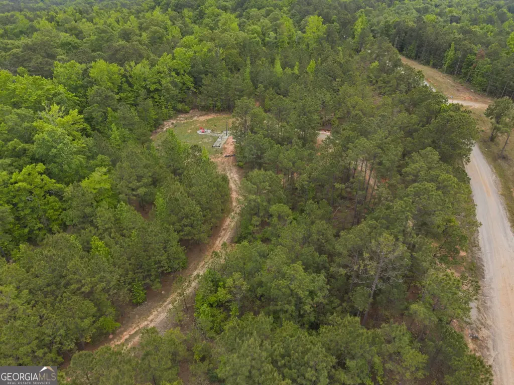 Picture 11