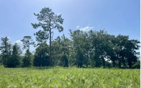 A-1 Zoned Land for Home Site
