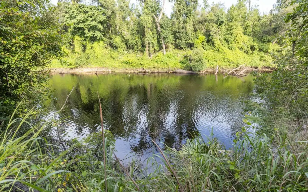 Picture 20