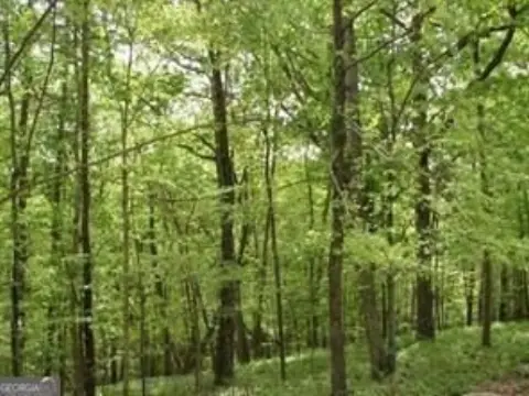 Wooded Lake Community Homesite