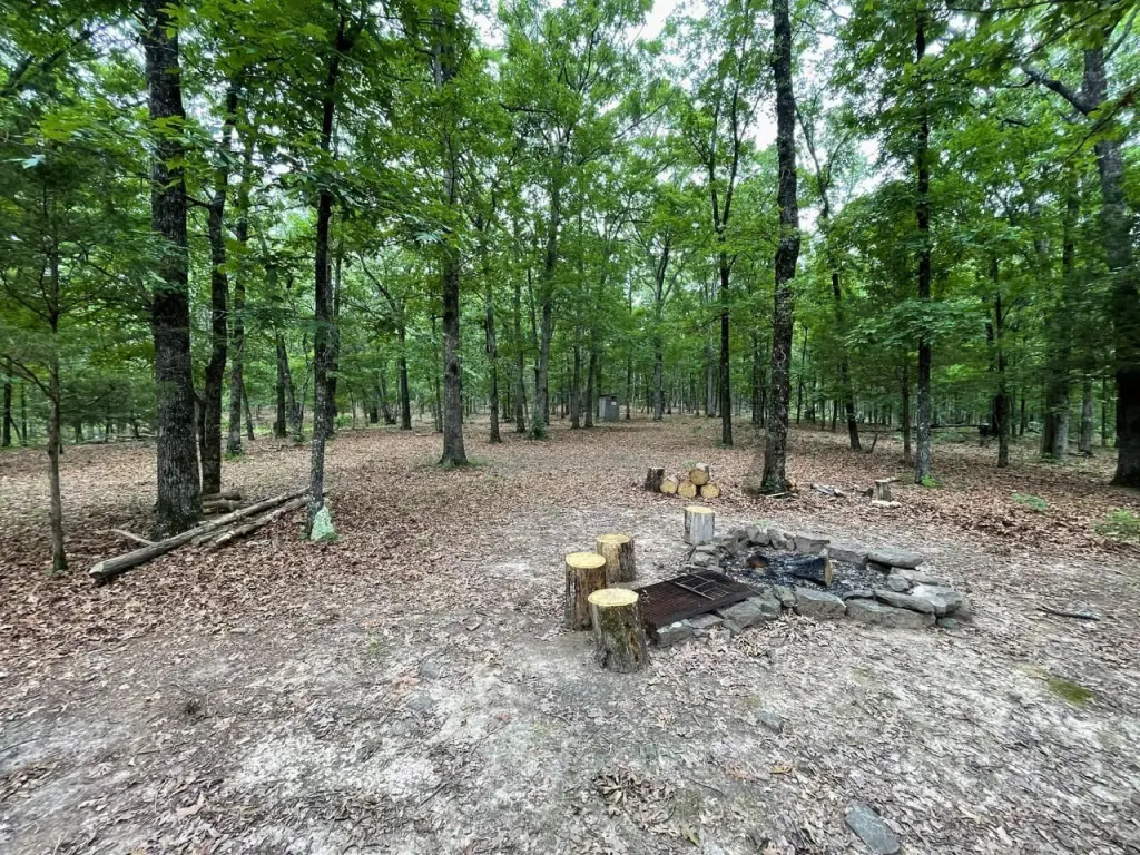 Picture 11