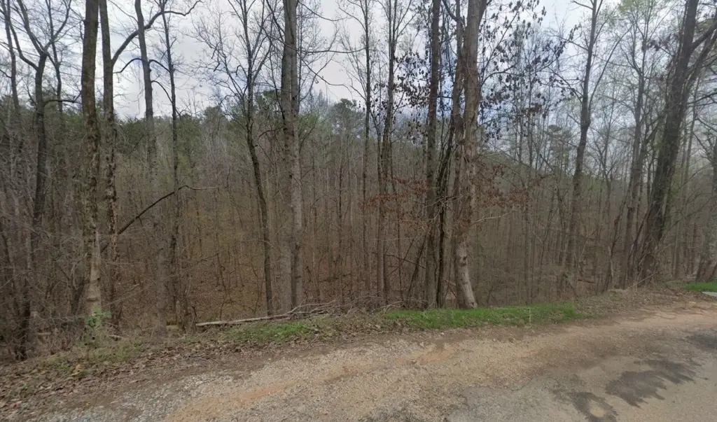 Picture 4