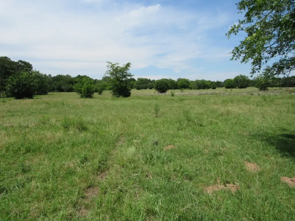 Picture 8