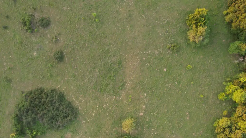 Picture 41