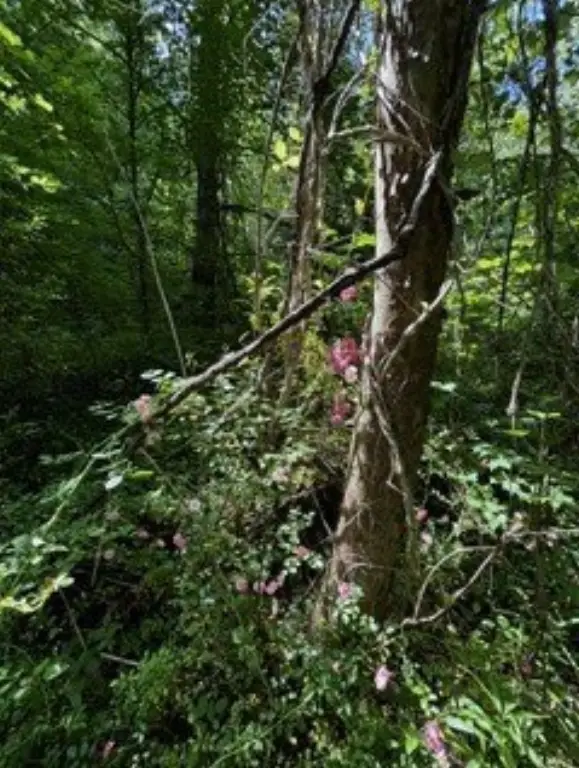 Picture 22