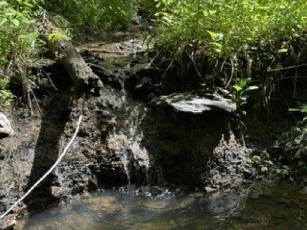 Picture 11