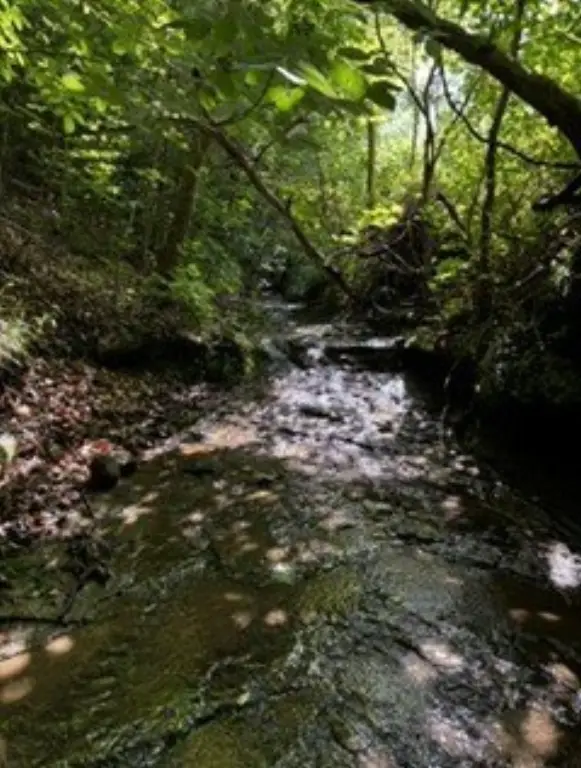 Picture 17