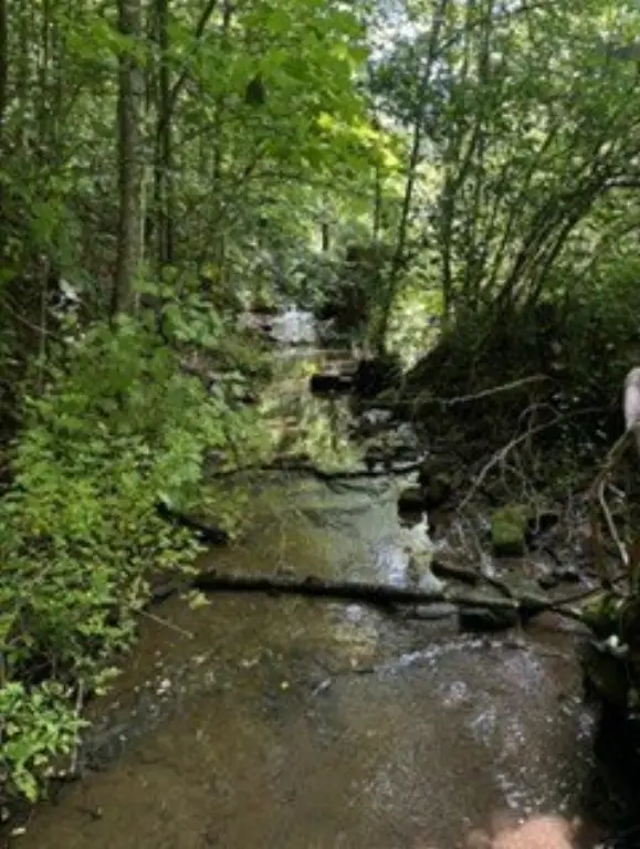 Picture 16