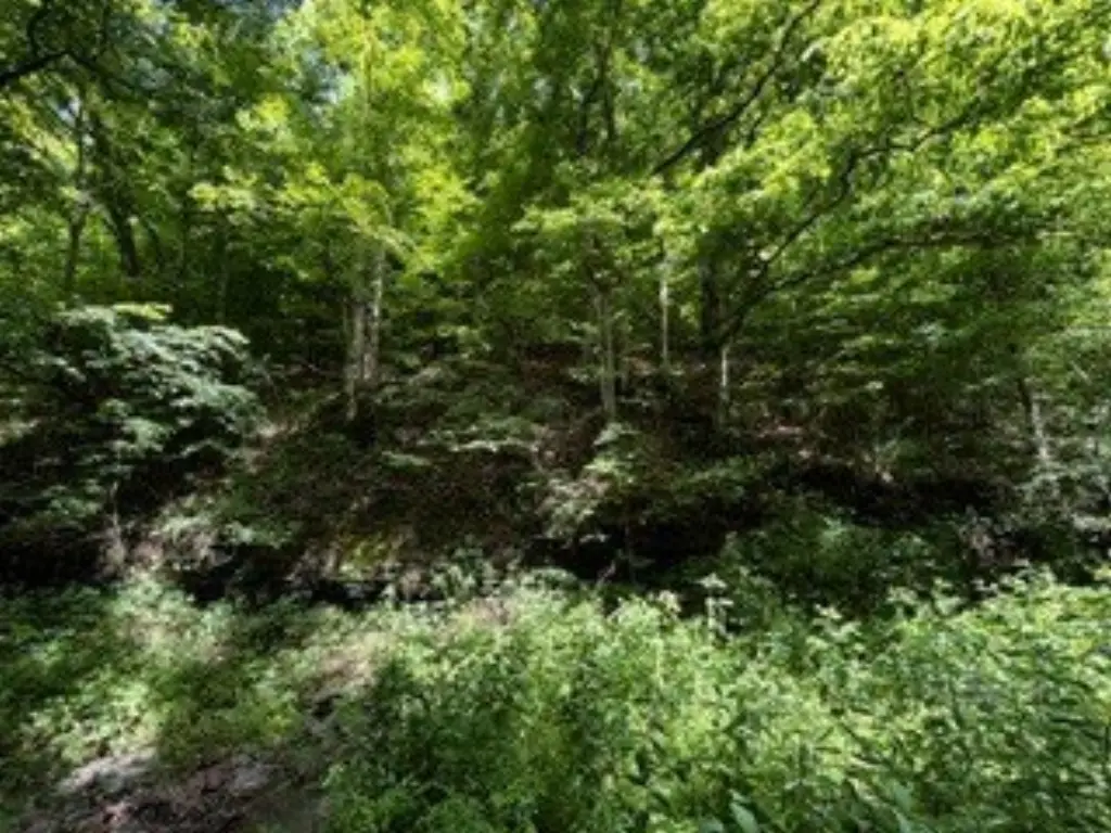 Picture 14