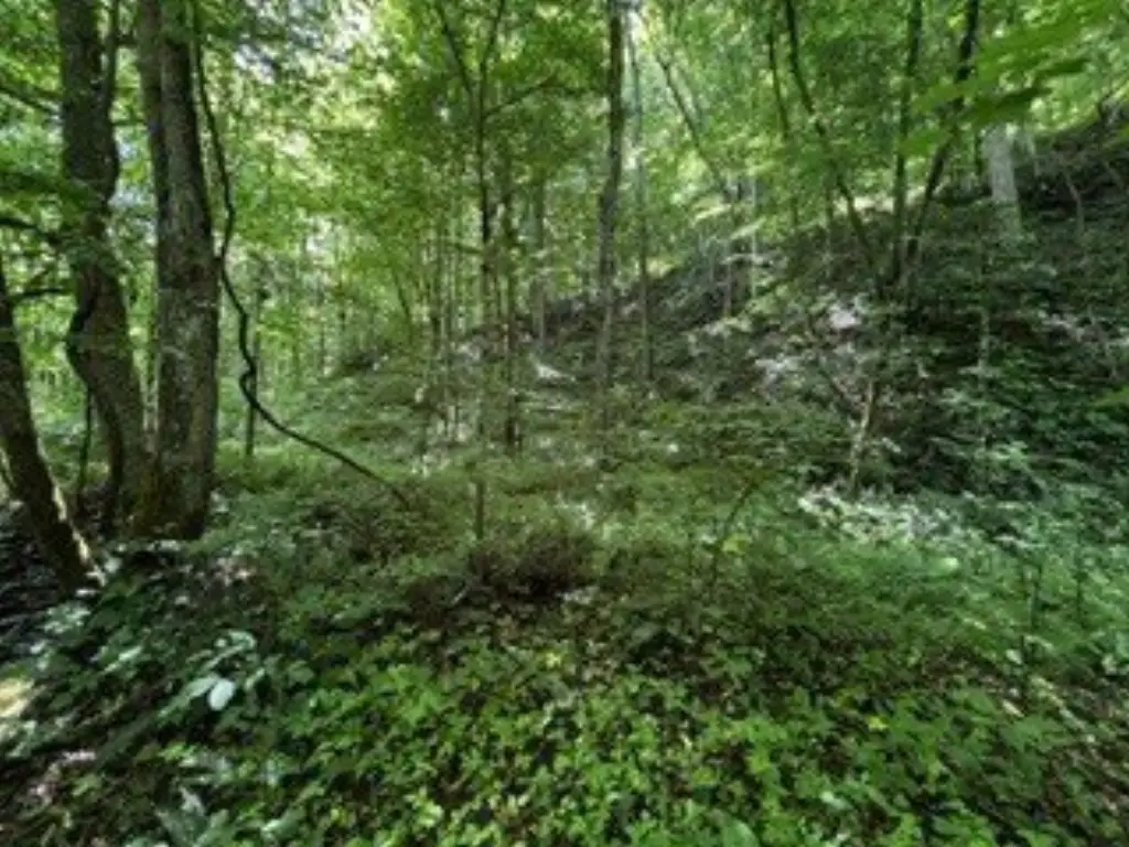 Picture 10