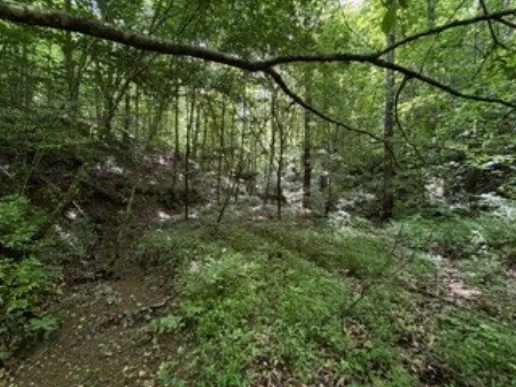 Picture 12
