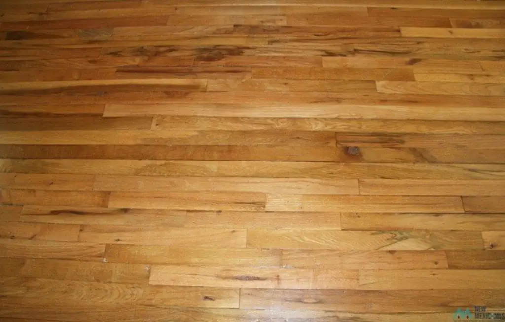 Picture 5