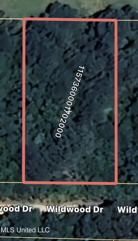Picture 4