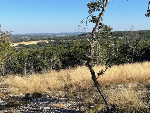 Treed Land with Cleared Site