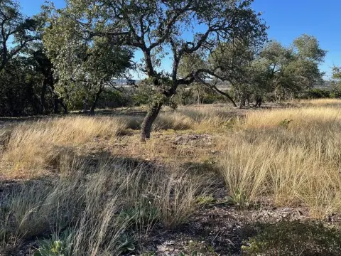 Treed Land with Cleared Site