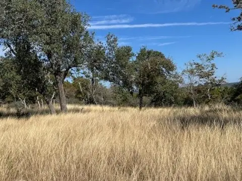 Treed Land with View Potential