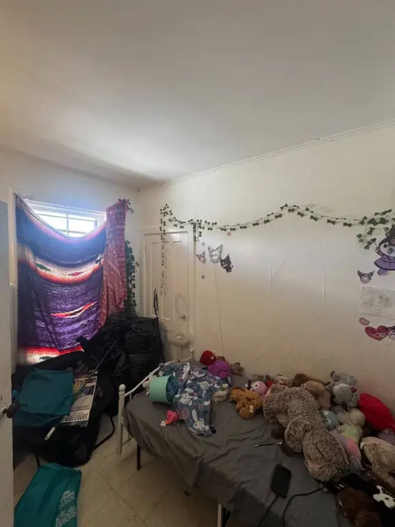 Picture 27