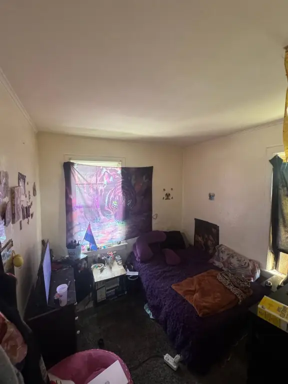 Picture 23