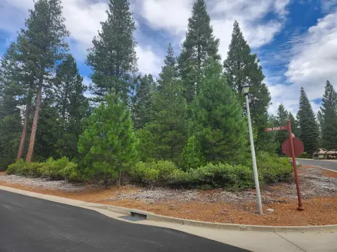 Lake Almanor Corner Lot