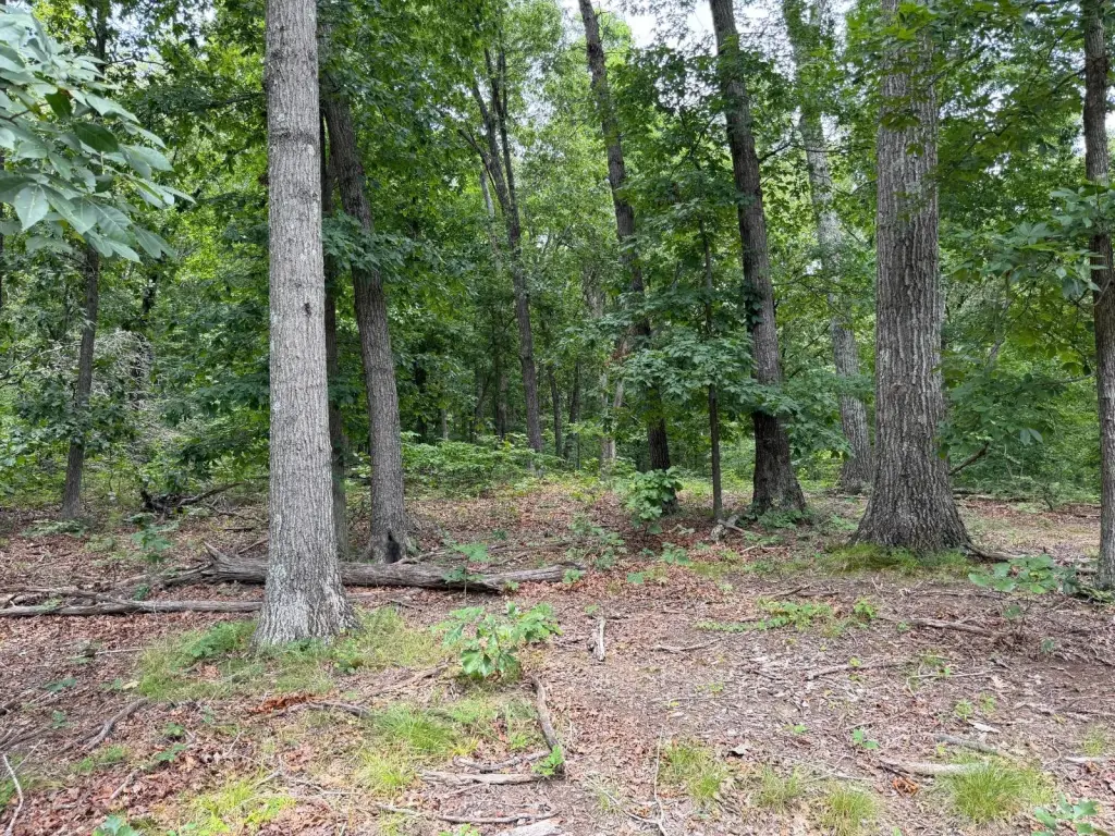 Picture 19