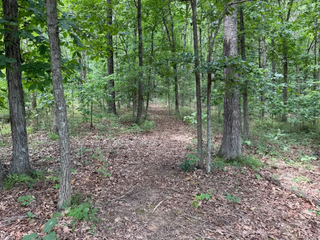 Picture 23