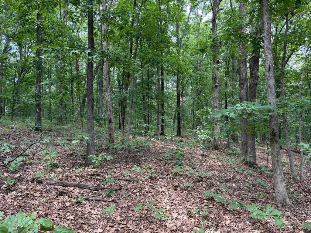 Picture 25